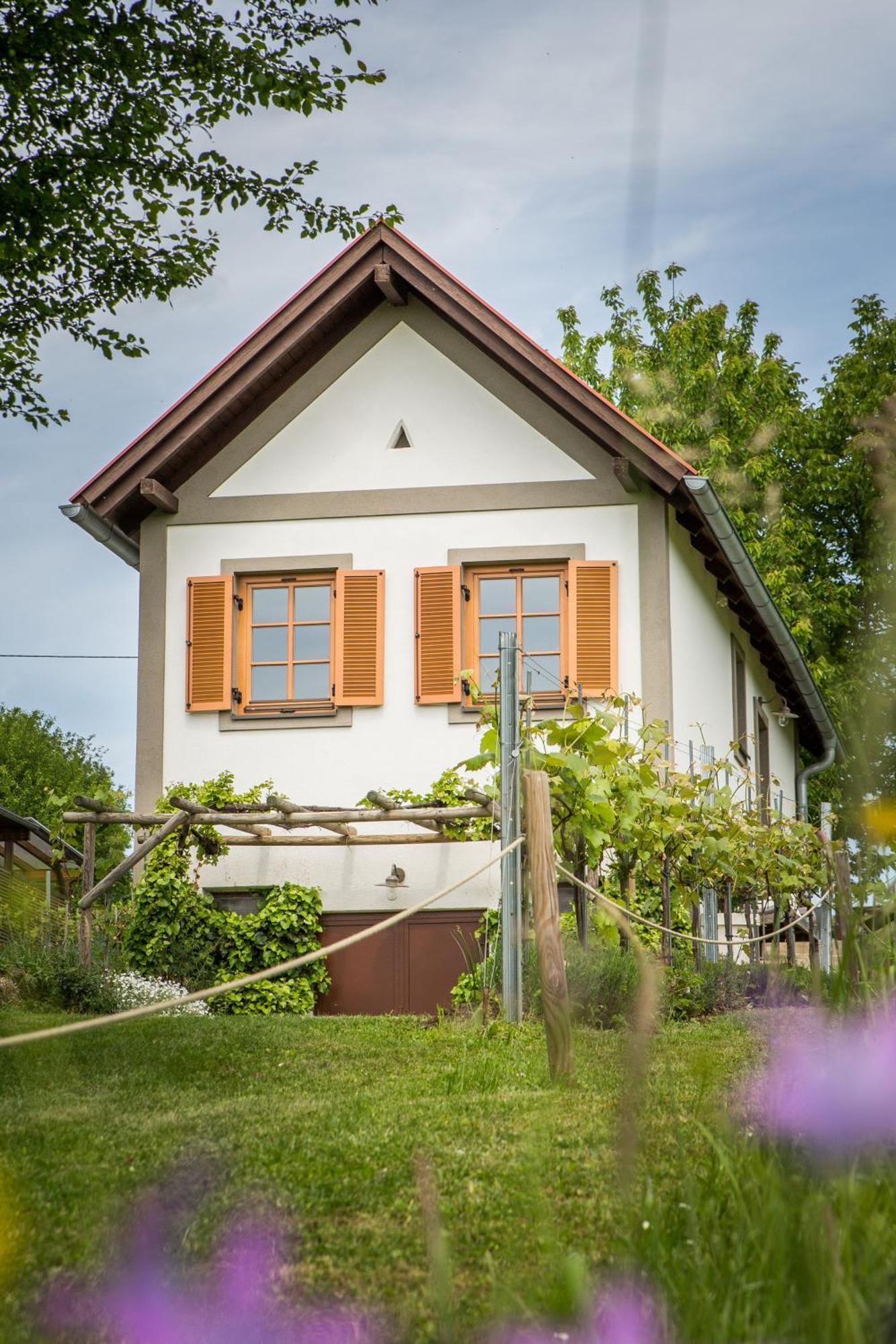 הוילה Edlitz im Burgenland Weinlofts Weinloft I מראה חיצוני תמונה
