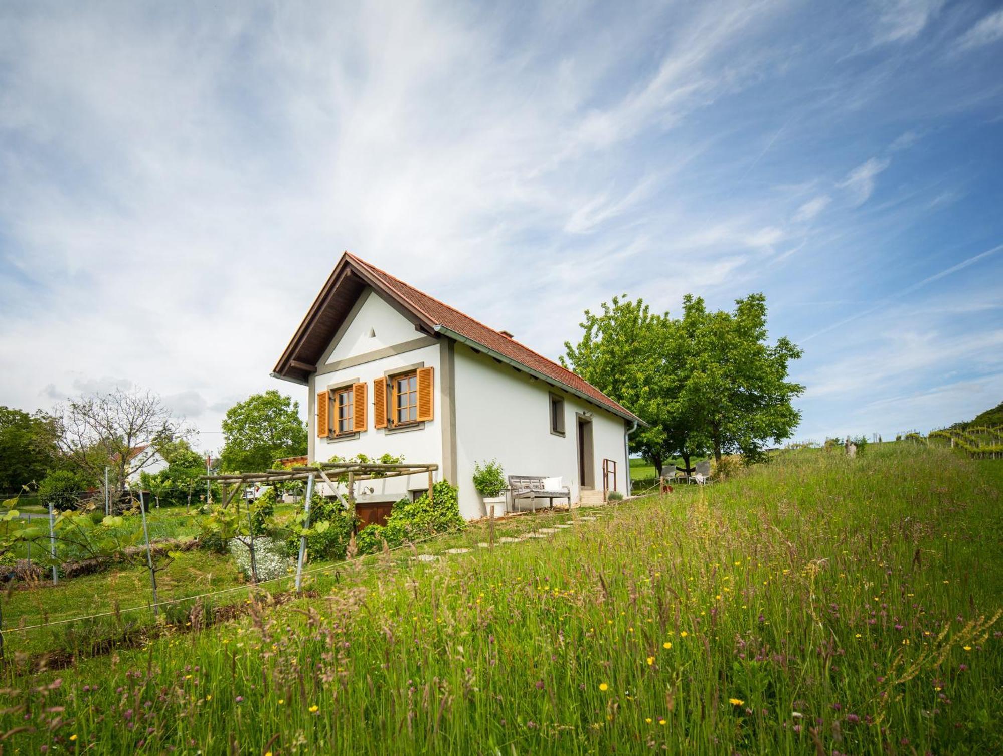 הוילה Edlitz im Burgenland Weinlofts Weinloft I מראה חיצוני תמונה