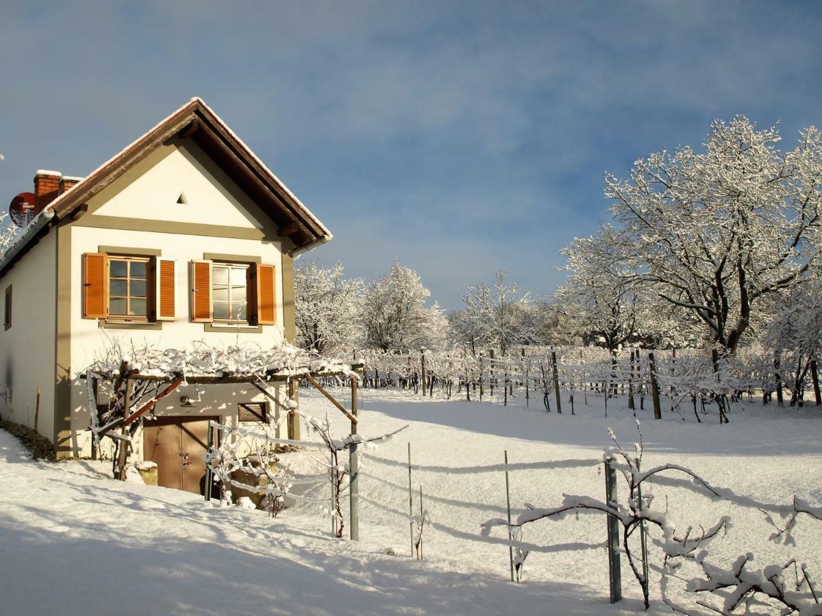 הוילה Edlitz im Burgenland Weinlofts Weinloft I מראה חיצוני תמונה